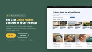 WooCommerce Auction Plugin Alternatives: When a Plugin Isn’t Enough