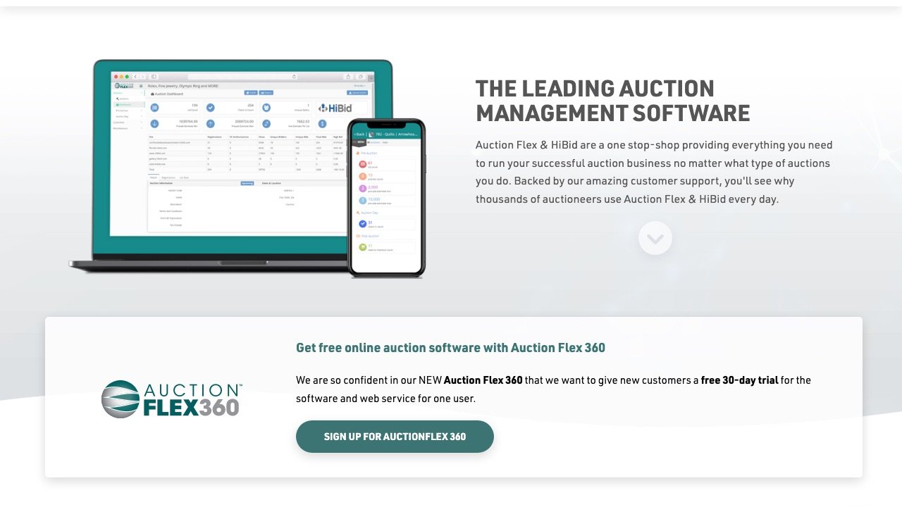 Auction Flex homepage screenshot