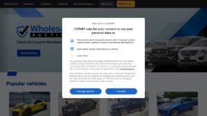 How to Build a Site Like Copart: Salvage Auction Platform Architecture