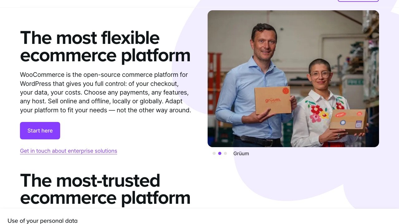 WooCommerce homepage screenshot