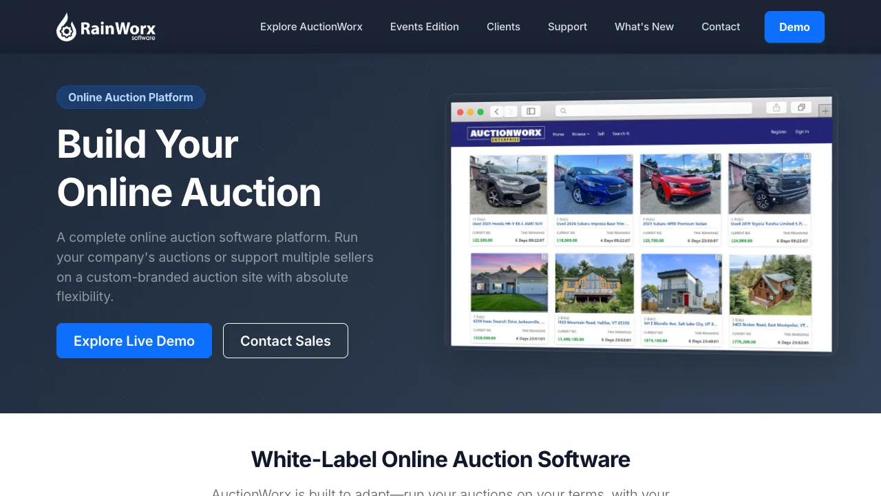 RainWorx AuctionWorx homepage for white-label online auction software